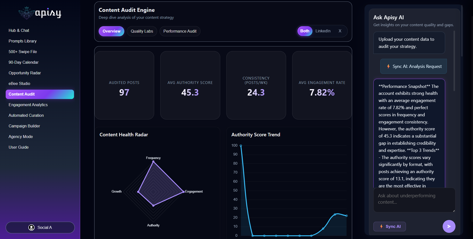 Apisy Content Audit